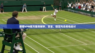 蘑菇VPN官方服务解析，安全、稳定与合规性探讨