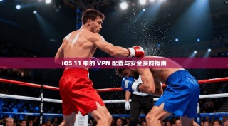 iOS 11 中的 VPN 配置与安全实践指南