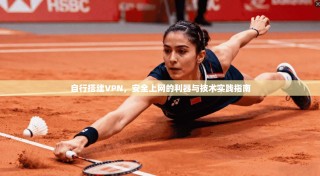 自行搭建VPN，安全上网的利器与技术实践指南