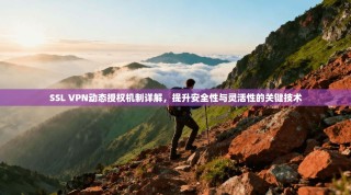 SSL VPN动态授权机制详解，提升安全性与灵活性的关键技术