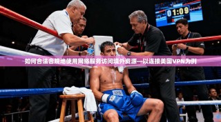 如何合法合规地使用网络服务访问境外资源—以连接美国VPN为例