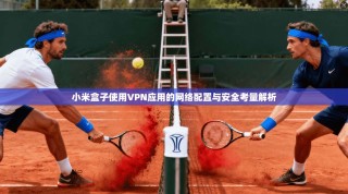 小米盒子使用VPN应用的网络配置与安全考量解析