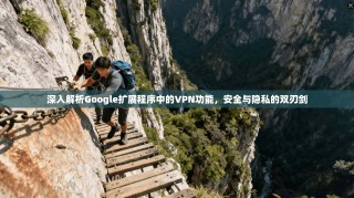深入解析Google扩展程序中的VPN功能，安全与隐私的双刃剑