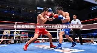 破解校园网络限制，NJUST.VPN 的技术原理与合法使用边界