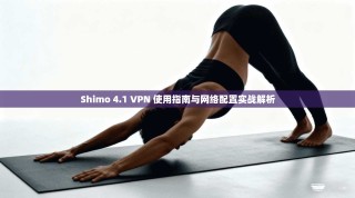 Shimo 4.1 VPN 使用指南与网络配置实战解析