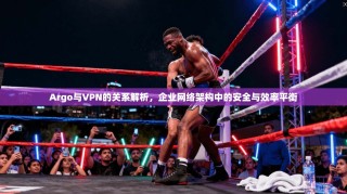 Argo与VPN的关系解析，企业网络架构中的安全与效率平衡