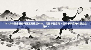 TP-Link路由器如何配置并连接VPN，完整步骤指南（适用于家庭与小型企业用户）