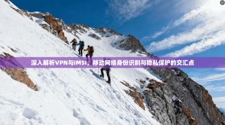 深入解析VPN与IMSI，移动网络身份识别与隐私保护的交汇点