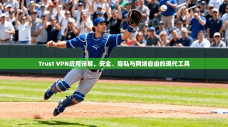 Trust VPN应用详解，安全、隐私与网络自由的现代工具