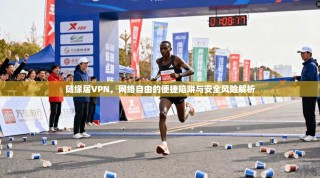 随缘居VPN，网络自由的便捷陷阱与安全风险解析