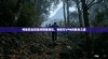 构建安全高效的网络通信，专线与VPN的融合之道