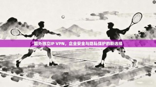 国外独立IP VPN，企业安全与隐私保护的新选择