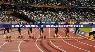 自动换IP VPN技术解析，提升网络隐私与访问灵活性的关键工具