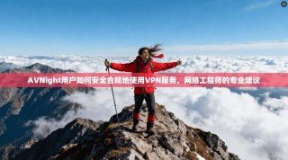 AVNight用户如何安全合规地使用VPN服务，网络工程师的专业建议