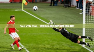 Free VPN Plus，便捷与风险并存的网络捷径解析