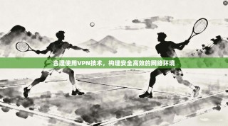 合理使用VPN技术，构建安全高效的网络环境