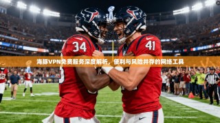海豚VPN免费服务深度解析，便利与风险并存的网络工具