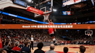 Goosh VPN 使用指南与网络安全性深度解析