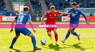 或查看接口状态