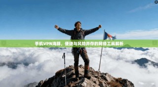 手机VPN海豚，便捷与风险并存的网络工具解析