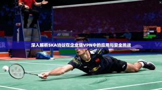 深入解析SKA协议在企业级VPN中的应用与安全挑战