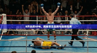 B开头的VPN，揭秘常见品牌与选择指南