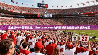 企业级VPN部署实践，以neusoft.com为例解析安全远程访问解决方案