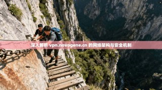 深入解析 vpn.novogene.cn 的网络架构与安全机制