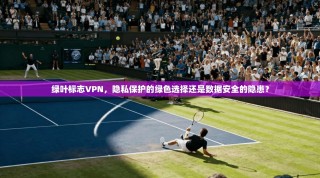 绿叶标志VPN，隐私保护的绿色选择还是数据安全的隐患？