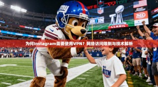 为何Instagram需要使用VPN？网络访问限制与技术解析