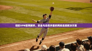 领航VPN官网解析，安全与合规并重的网络连接解决方案