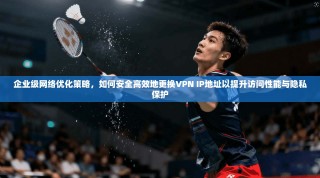 企业级网络优化策略，如何安全高效地更换VPN IP地址以提升访问性能与隐私保护