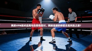 两岸VPN技术应用与合规性探讨，网络连接的桥梁还是风险之源？