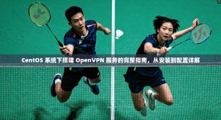 CentOS 系统下搭建 OpenVPN 服务的完整指南，从安装到配置详解