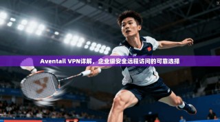 Aventail VPN详解，企业级安全远程访问的可靠选择