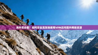 海外党必看！如何安全高效地使用VPN访问境外网络资源