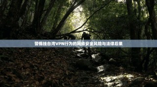 警惕挂台湾VPN行为的网络安全风险与法律后果