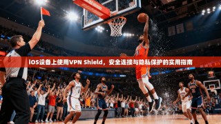 iOS设备上使用VPN Shield，安全连接与隐私保护的实用指南