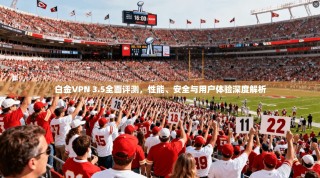 白金VPN 3.5全面评测，性能、安全与用户体验深度解析