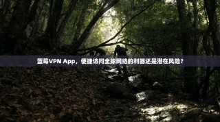 蓝莓VPN App，便捷访问全球网络的利器还是潜在风险？