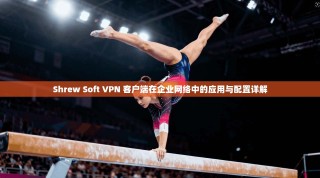 Shrew Soft VPN 客户端在企业网络中的应用与配置详解