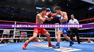 深入解析VPN.Maxter，企业级安全与高效网络连接的智能选择
