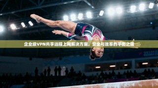 企业级VPN共享远程上网解决方案，安全与效率的平衡之道