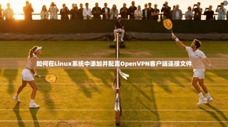 如何在Linux系统中添加并配置OpenVPN客户端连接文件