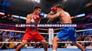 深入解析VPN SA，虚拟私有网络中的安全关联机制详解