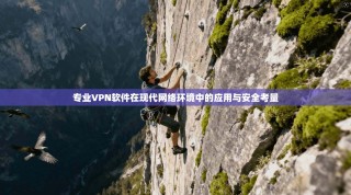 专业VPN软件在现代网络环境中的应用与安全考量