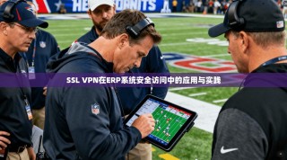 SSL VPN在ERP系统安全访问中的应用与实践