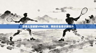 警惕土豆破解VPN陷阱，网络安全意识需提升