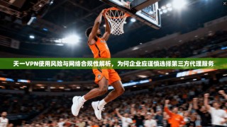 天一VPN使用风险与网络合规性解析，为何企业应谨慎选择第三方代理服务