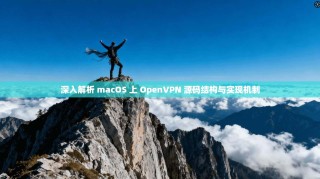 深入解析 macOS 上 OpenVPN 源码结构与实现机制